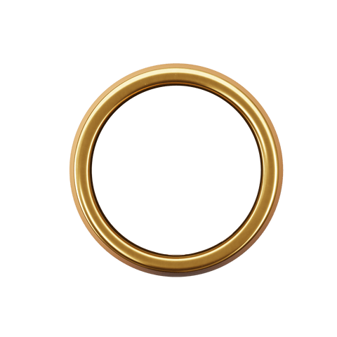 Pi Ring - Our entry level and most affordable smart ring