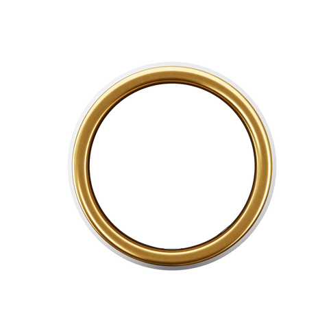 Pi Ring - Our entry level and most affordable smart ring