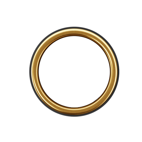 Pi Ring - Our entry level and most affordable smart ring